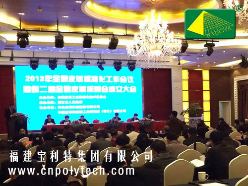 2013年全国皮革标准化工作会议暨第二届全国皮革标委会成立大会现场