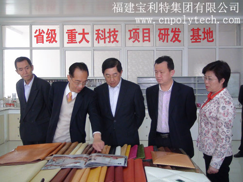全国政协委员、中国侨联副主席乔卫莅临福建宝利特集团有限公司调研指导（人造革合成革企业）