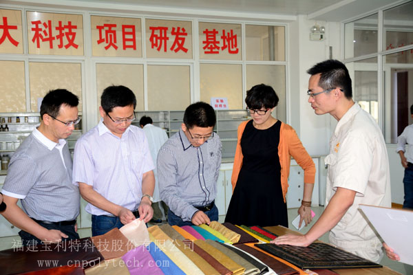 平湖市委办副主任、政研室主任陶熠旻，平湖市委政研室副主任林士良，平湖市发改局副局长姜忠良，平湖市委市政府接待办副主任雷耘一行，莅临福建宝利特科技股份有限公司考察