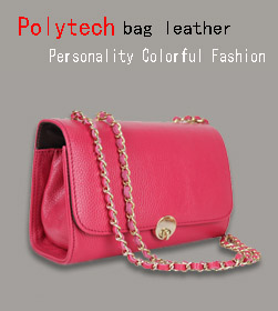 Polytech bag leather Personality Colorful Fashion